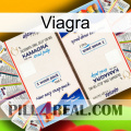 Viagra kamagra1